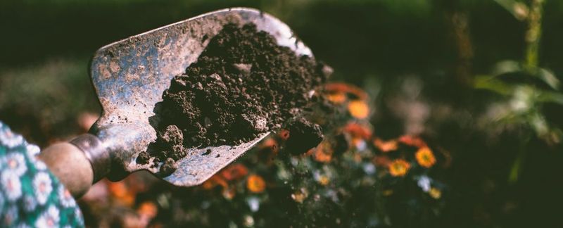 Fertilizer cannot replace a missing cultural fix