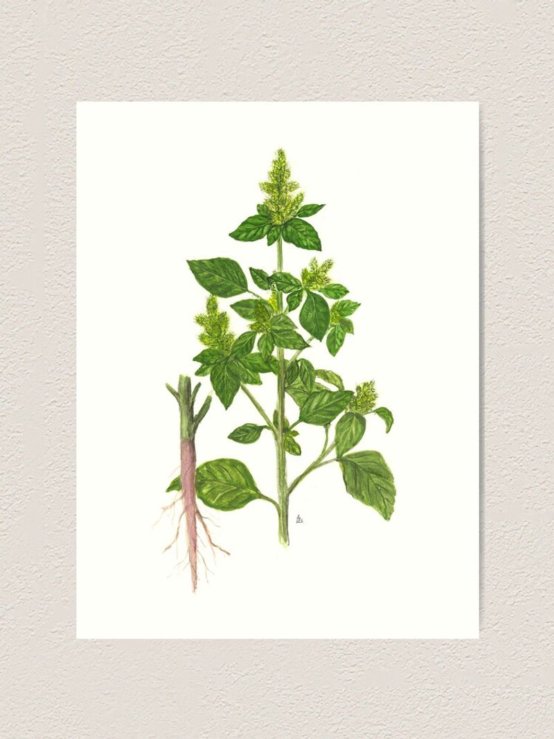 The taproot isn't the main long-term control concern