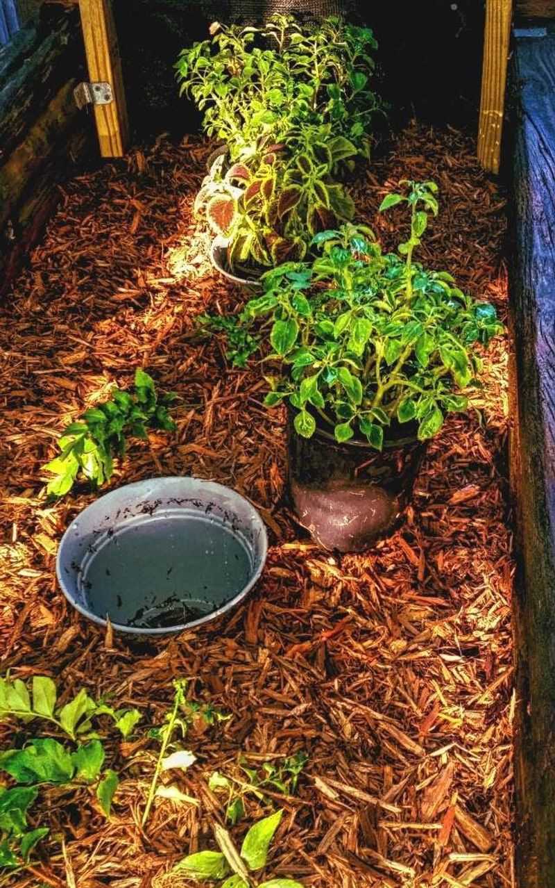 Bury the Whole Pot in the Garden