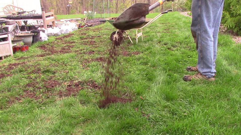 Topdress With Compost