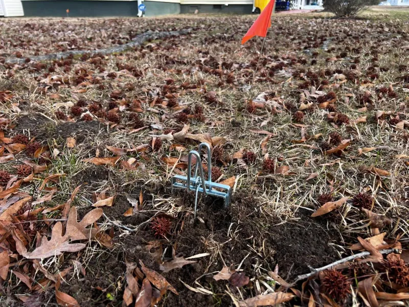 Avoid mole fixes that damage the yard and its wildlife