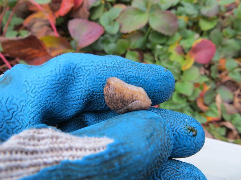 Manage slug pressure directly