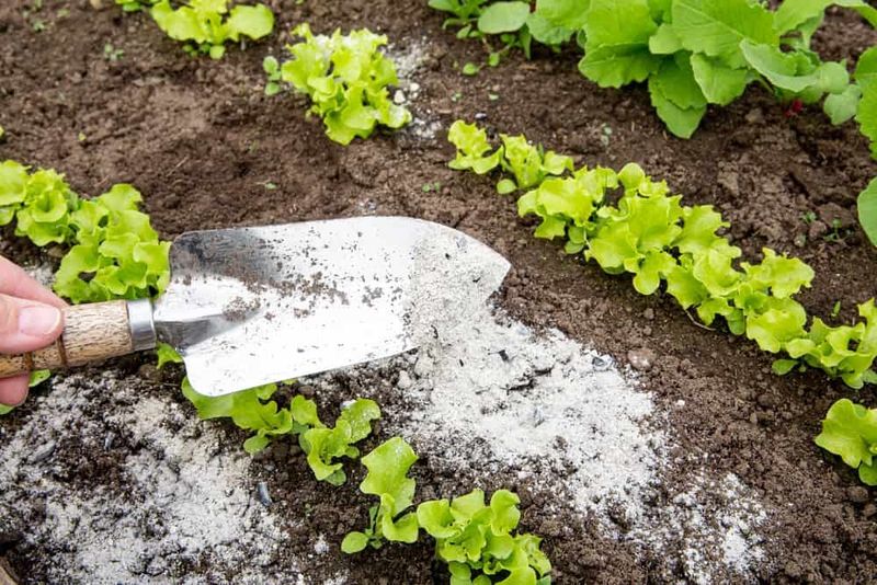 Wood Ash