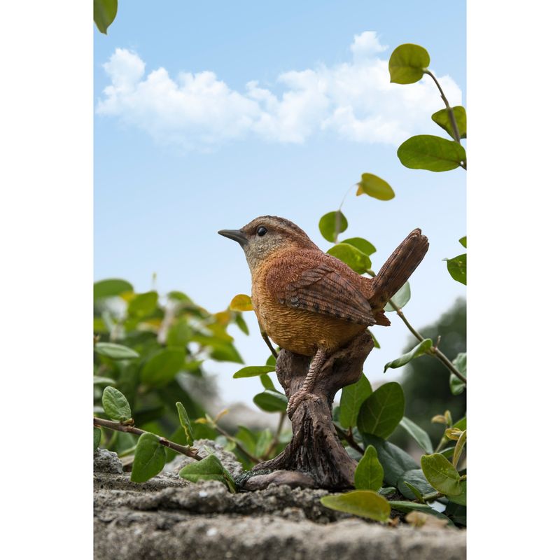 Wrens