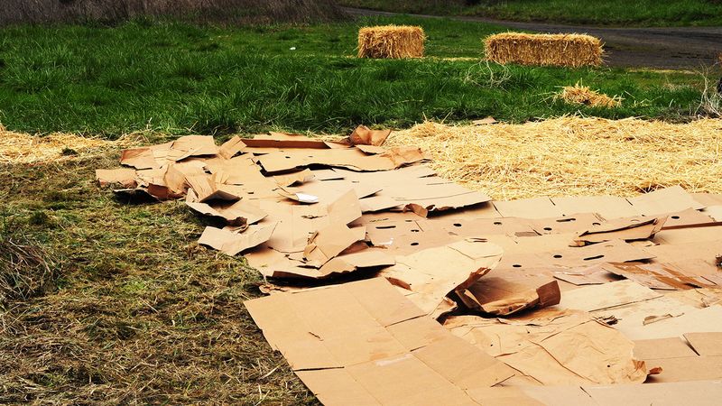 Lasagna Garden for a Brand New Bed