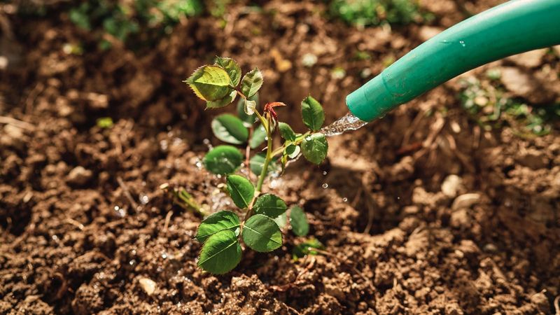 Start with the soil, not the calendar