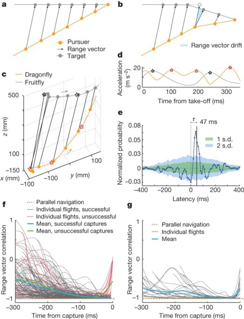 The calculation lives in neural circuits, not tiny arithmetic