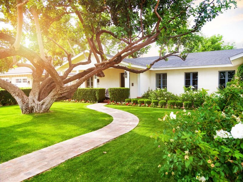 A Tidy, Regularly Mowed Edge