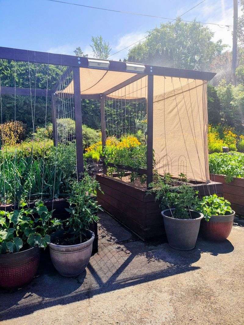 Provide Afternoon Shade