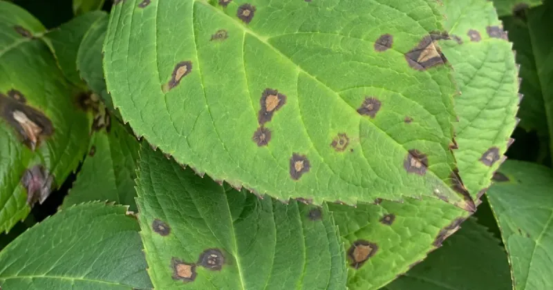 Know which symptoms deserve a closer look