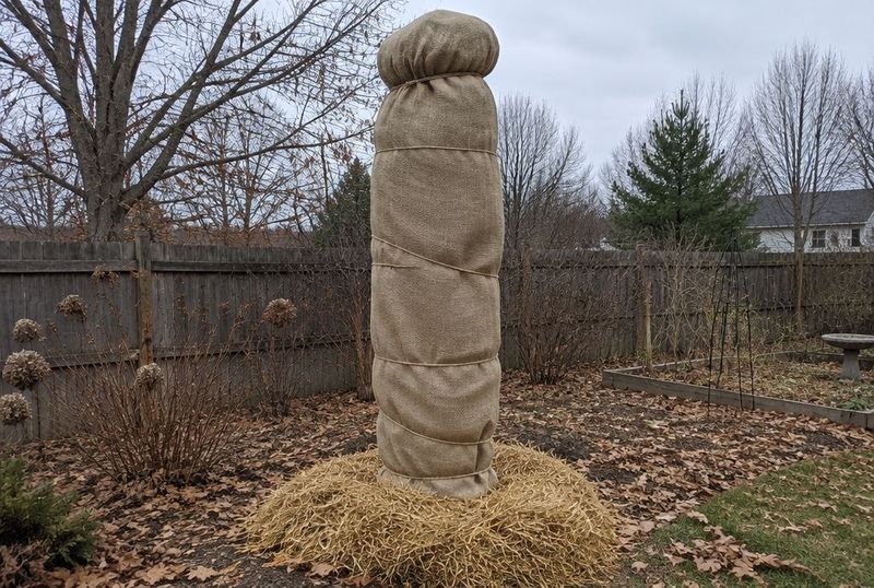 Protect Branches From Winter Damage