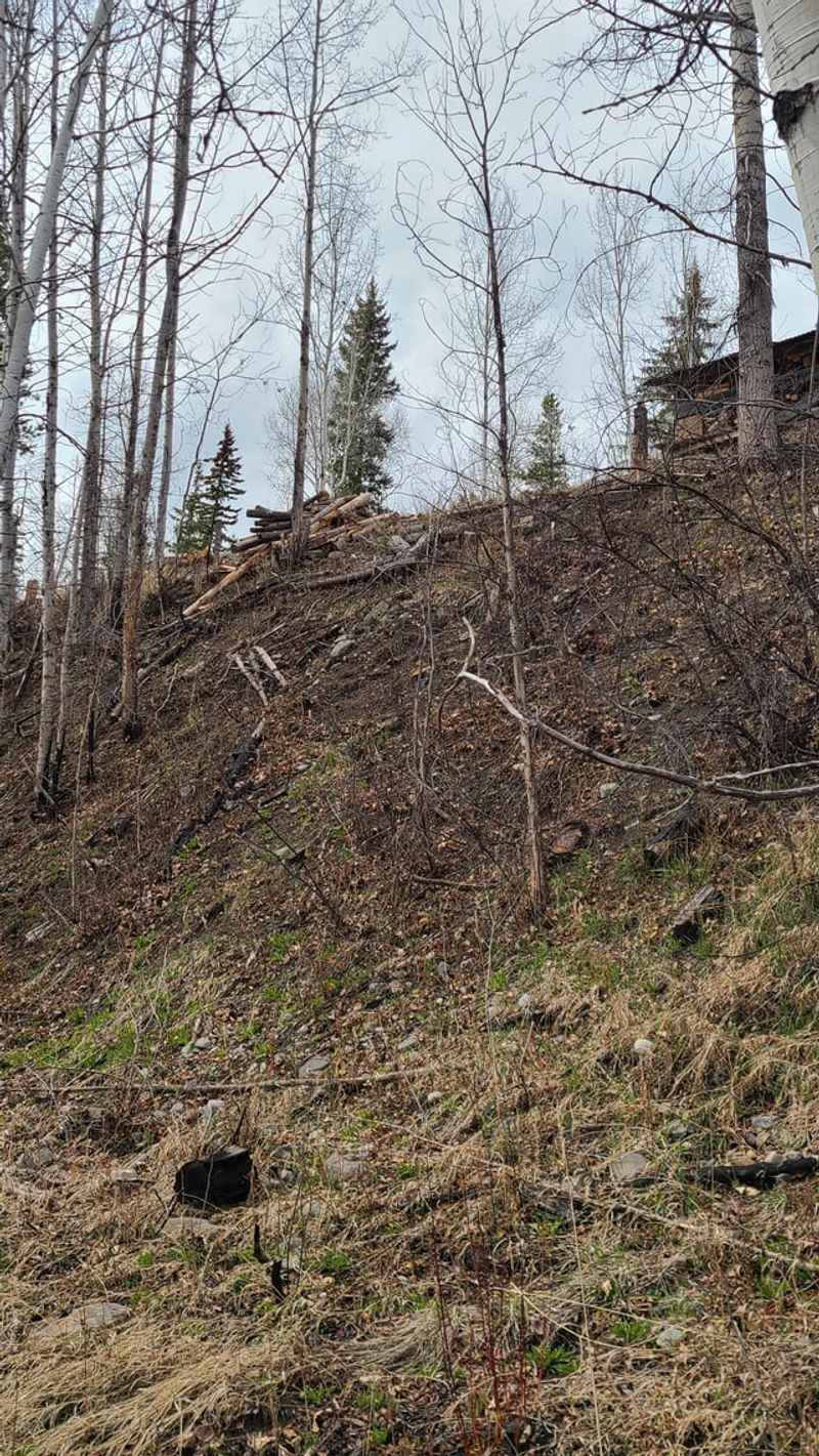 Know when vegetation is not enough