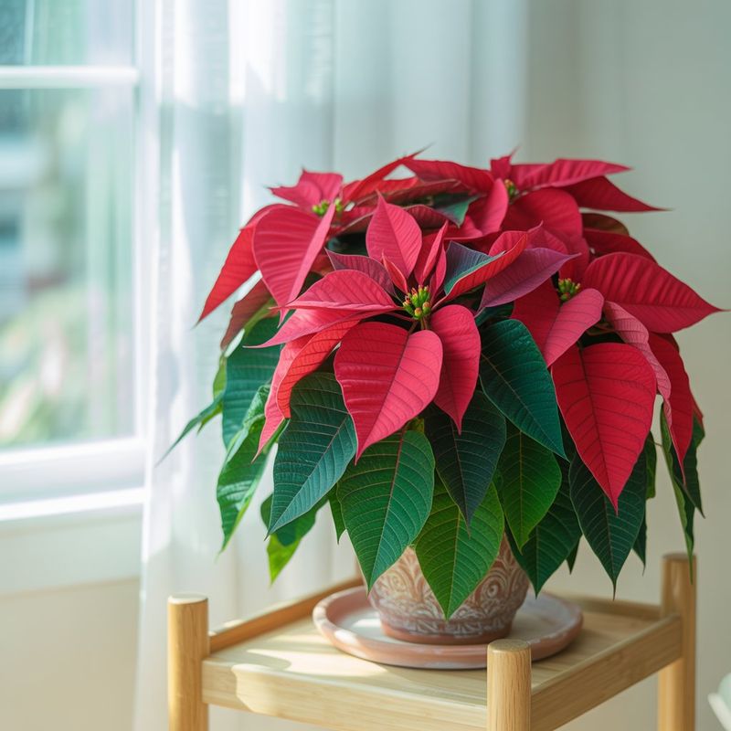 Choose a bright, draft-free spot indoors