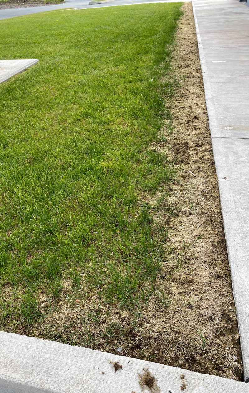 A brown edge is a clue, not a diagnosis