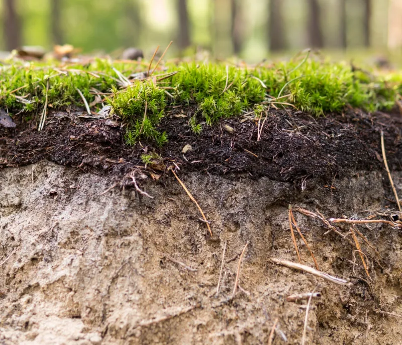Choose fill that suits the soil beneath the grass