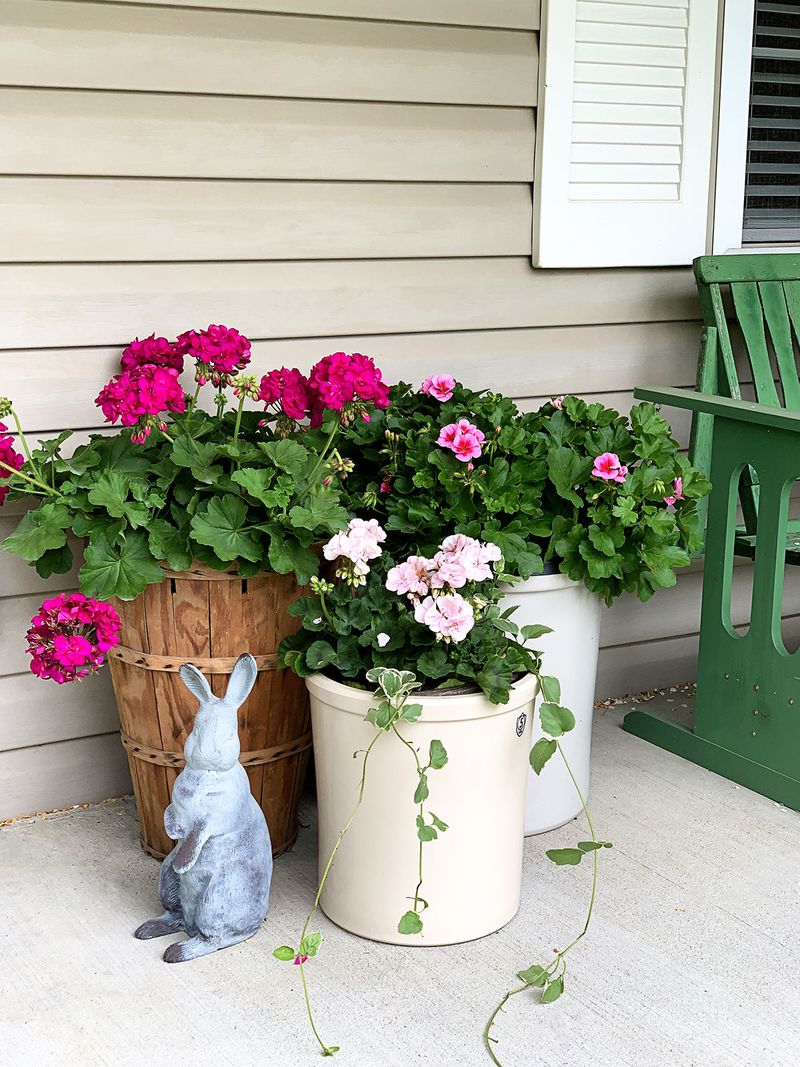 Group Potted Plants Together