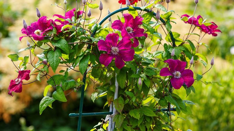 Avoid the shortcuts that cost flowers