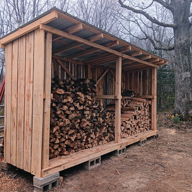 Store firewood to limit indoor encounters