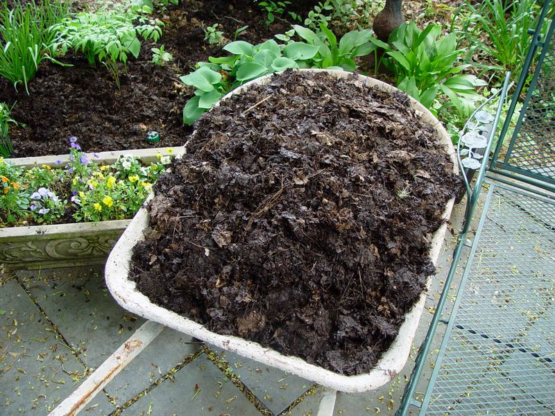 Shredded Leaf Mulch (Leaf Mold)