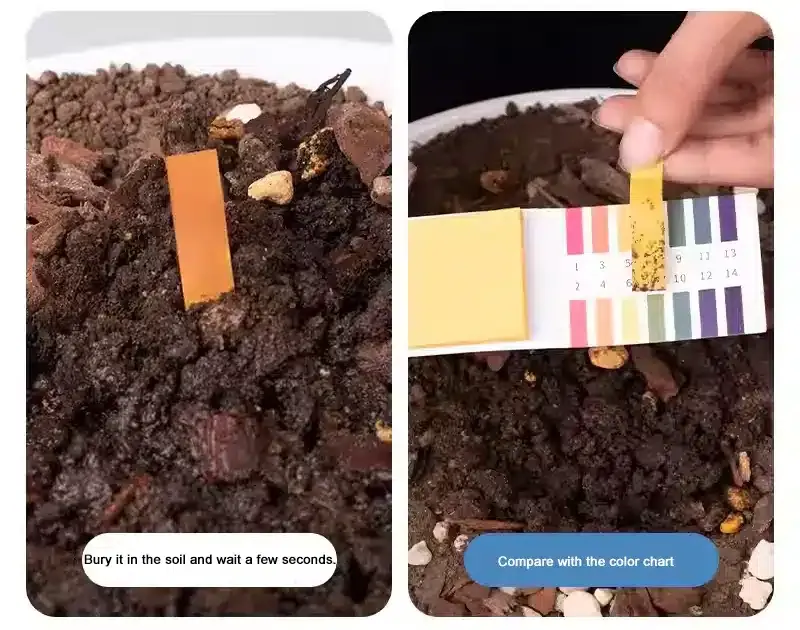 Acidic or Alkaline Soil