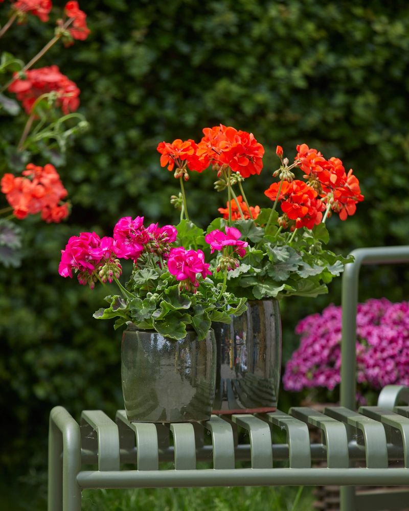 Let cooler conditions show whether the reset worked