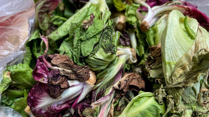Skip: Bagged Salad and Pre-Washed Mixed Greens