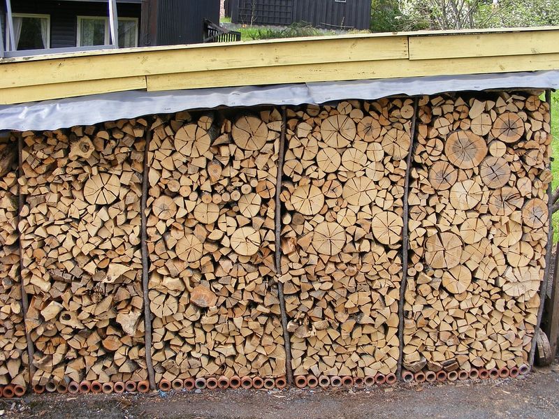 Stacking Firewood in Damp, Shady Spots