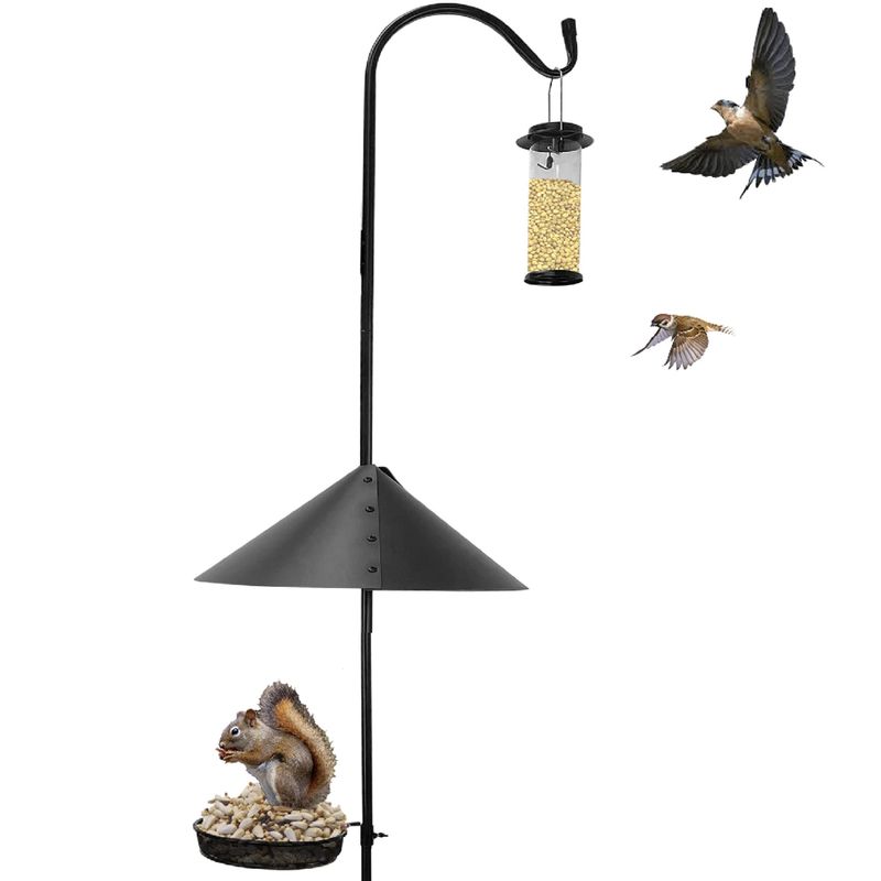 Squirrels and Other Pests