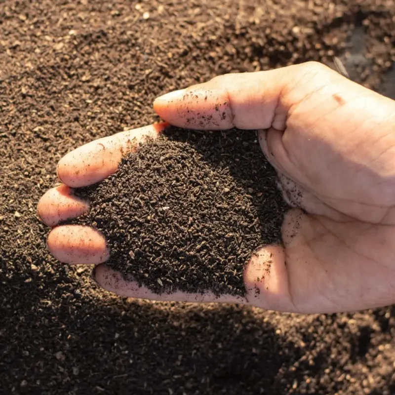 Worm Castings