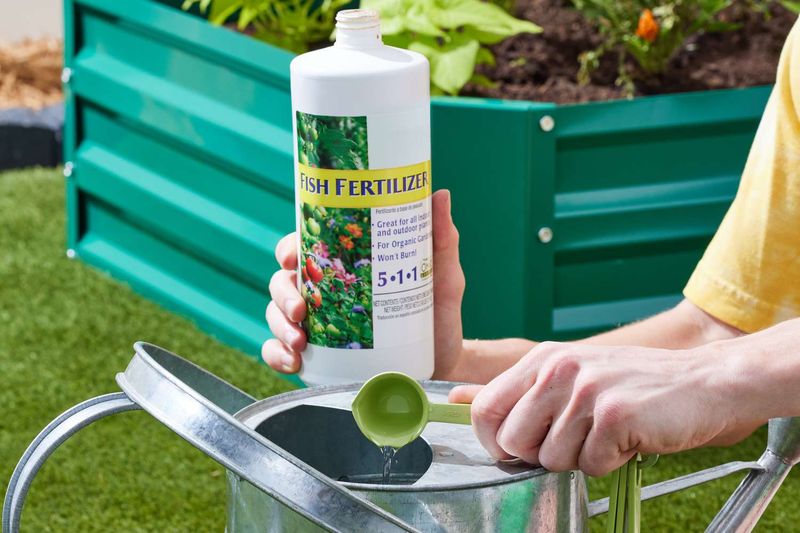 Try Organic Options Like Compost Tea and Blood Meal
