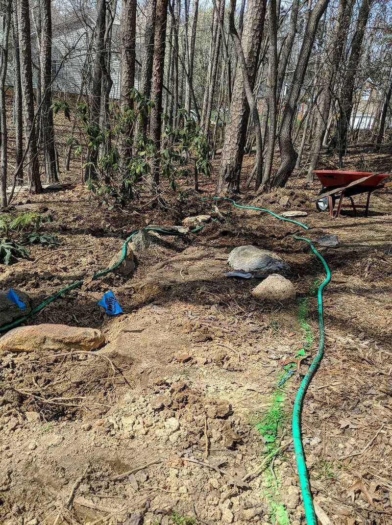 Test the wood-line site before planting