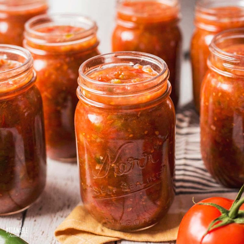 Garden Salsa