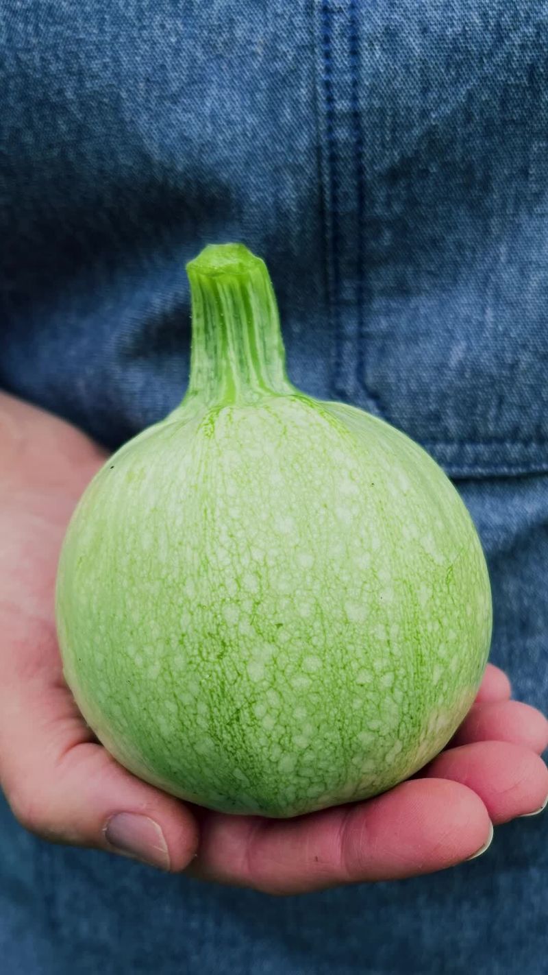 For Round Varieties, Check Diameter