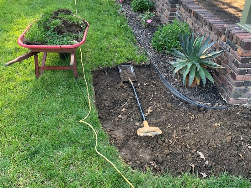 Prepare the site before planting