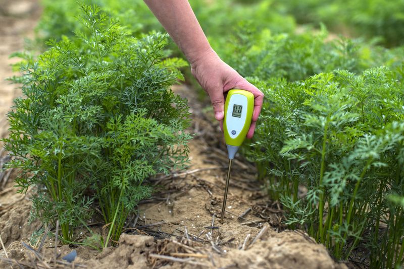 Test and Adjust Soil pH