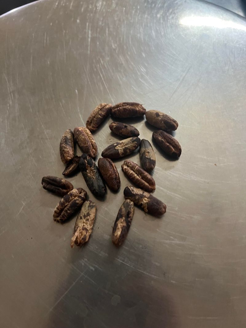 Treat the first batch as an experiment