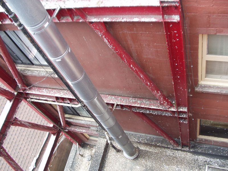 Droppings and legal protections set the boundaries for intervention