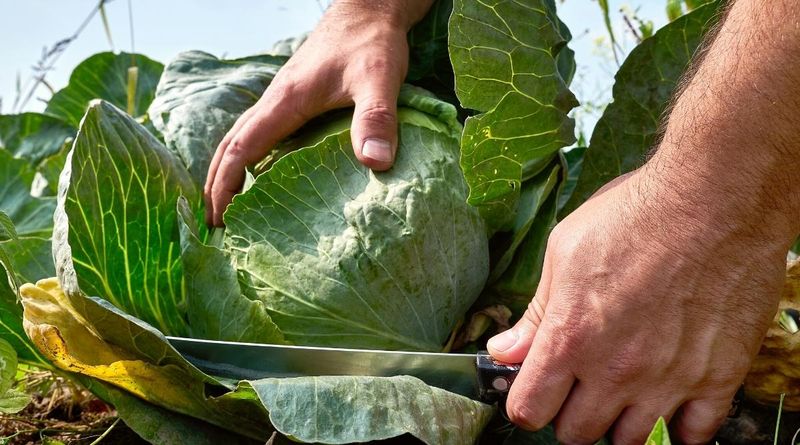 Diagnose the head problem before adding more water
