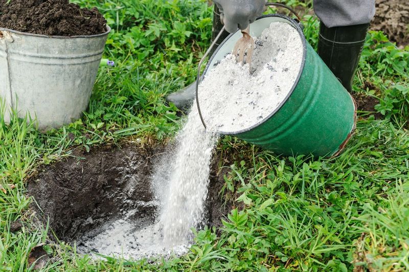 Wood Ash