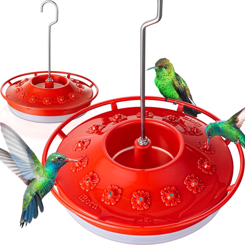 Accommodates Multiple Birds