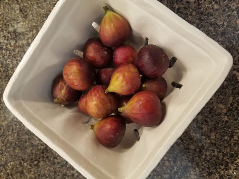 Can a Picked Fig Still Ripen?