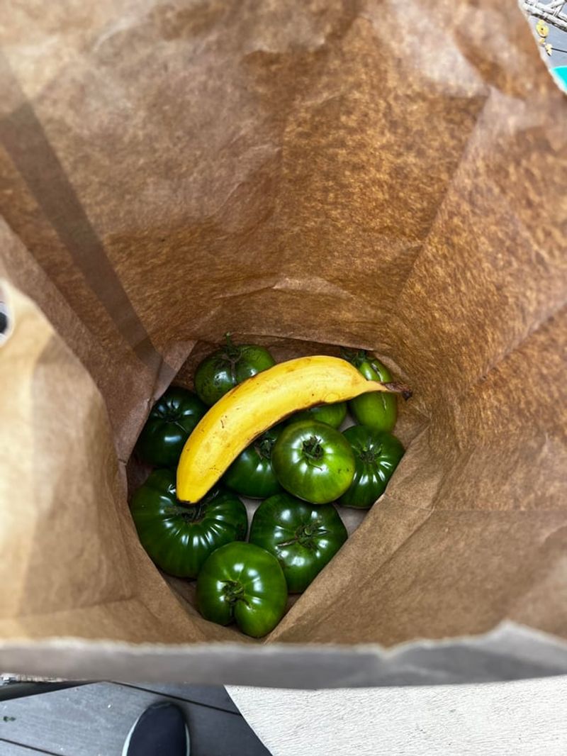 Will picked green peppers ripen indoors?