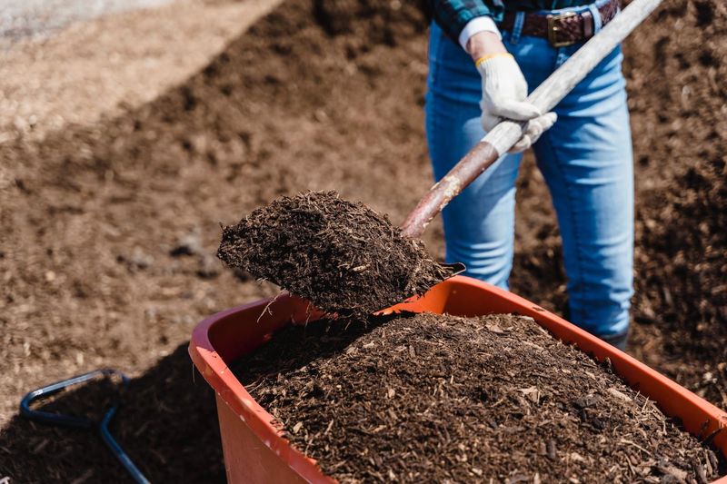 Incorporate Compost into the Soil