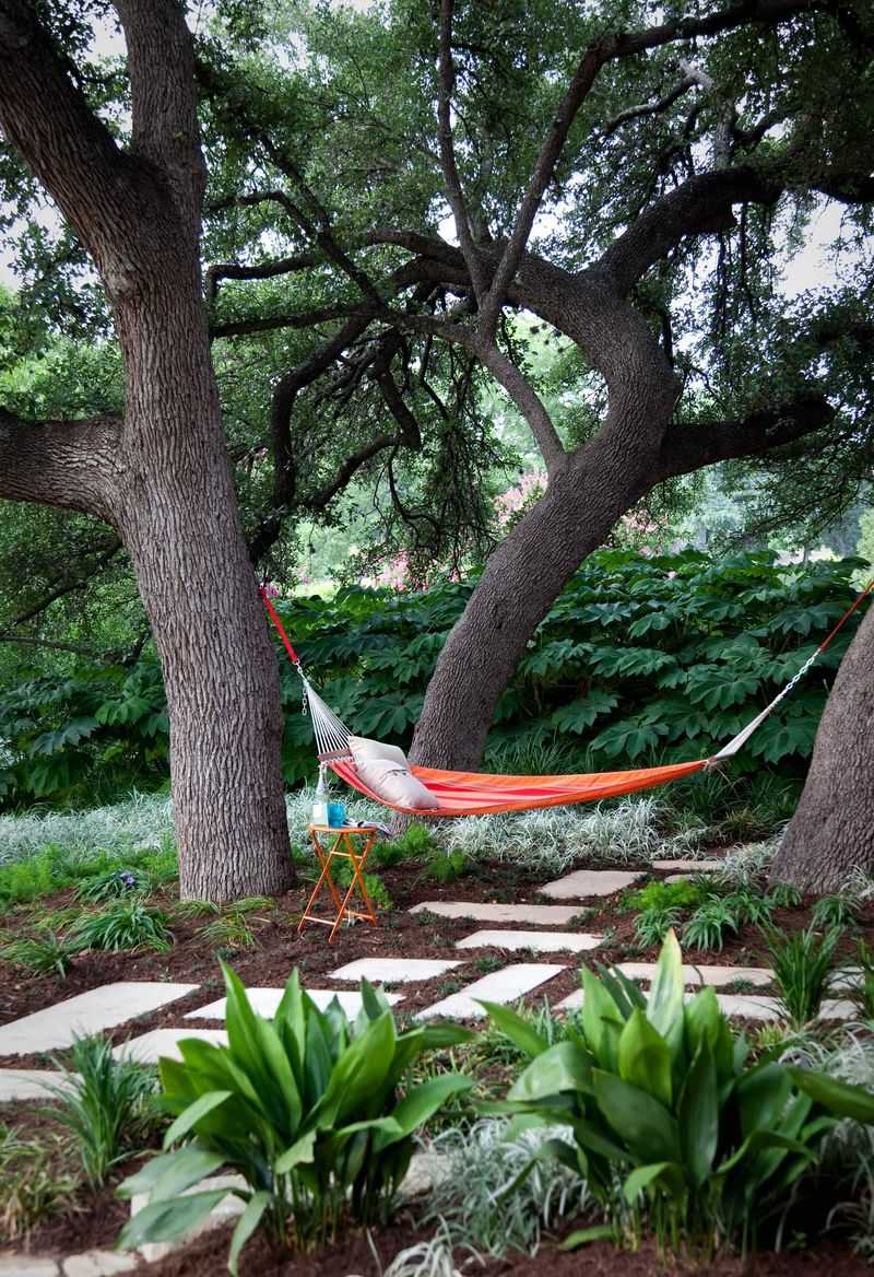 Its mature canopy changes how a North Carolina yard feels