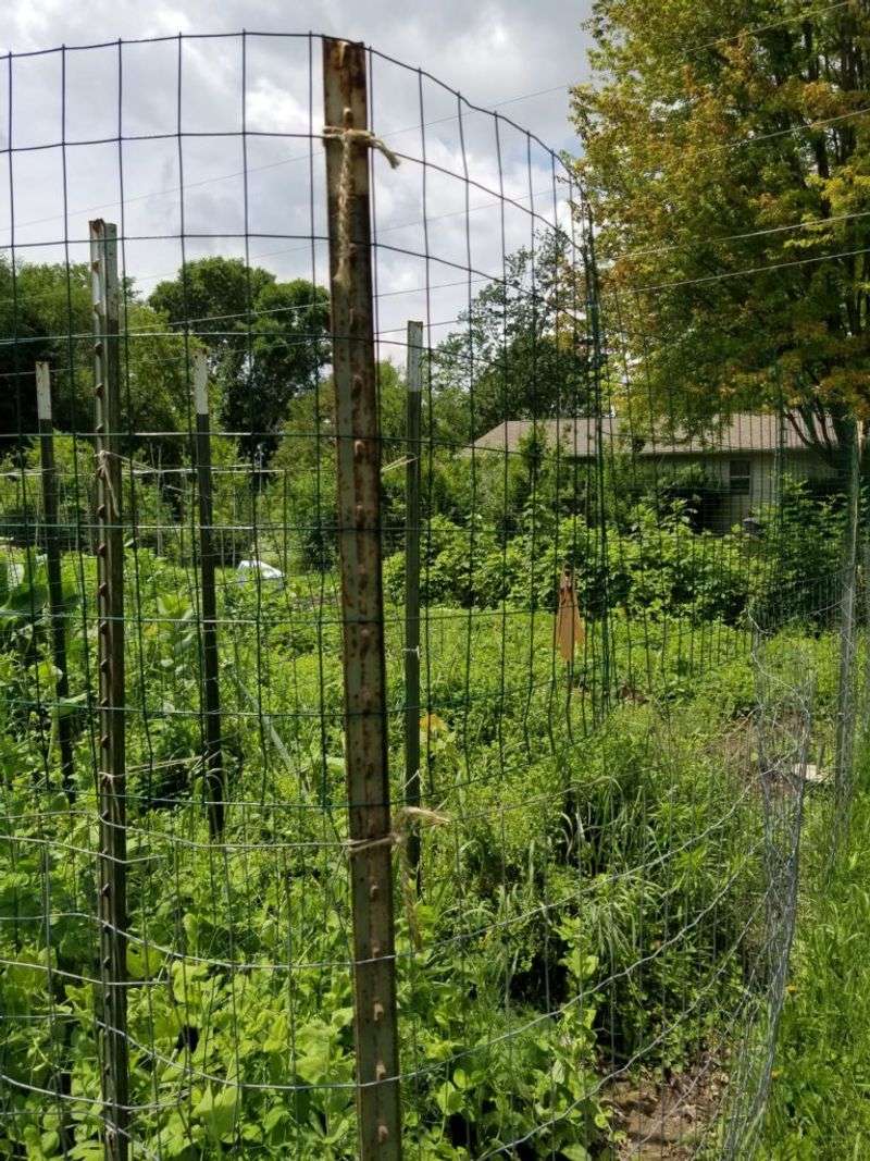 Install a Tall Physical Fence