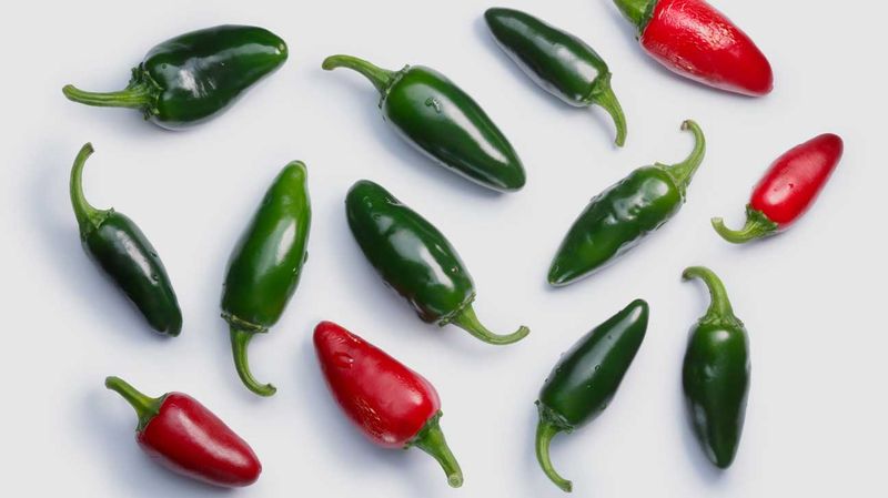 Jalapeño Pepper: The Crowd-Pleaser With Hidden Strengths