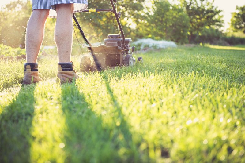 Keep Nearby Grass Mowed And Trimmed