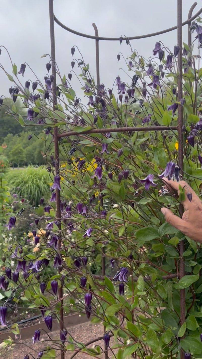 Leave yourself a simple plan for spring