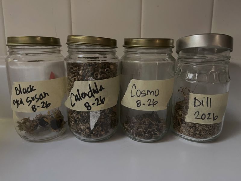 Label, Store, and Chill Before Planting