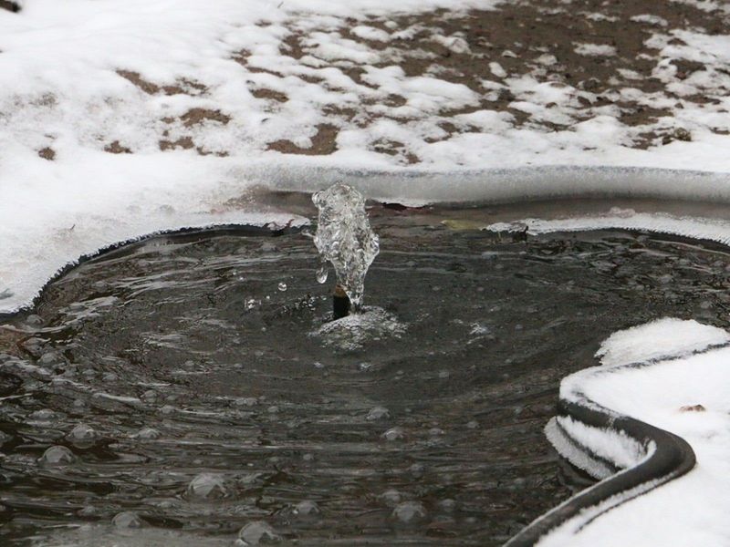 Winterkill follows oxygen loss, not one cold night